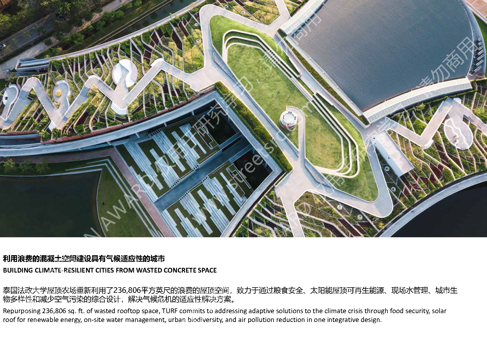 23516水印版_页面_03.jpg